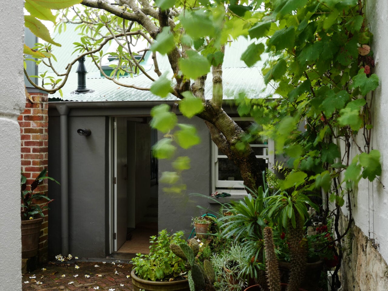 Paddington Cottage