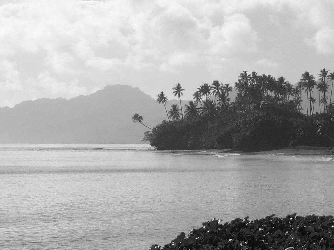 Laucala landing copy